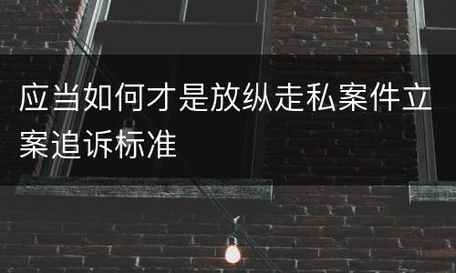 应当如何才是放纵走私案件立案追诉标准