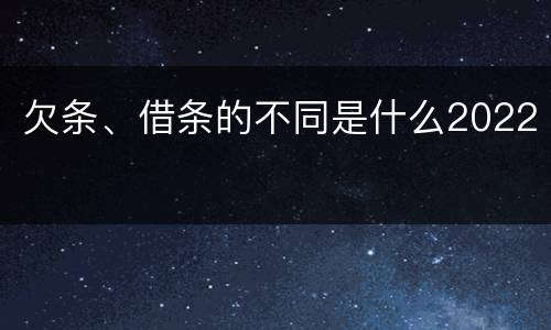 欠条、借条的不同是什么2022