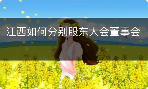 江西如何分别股东大会董事会