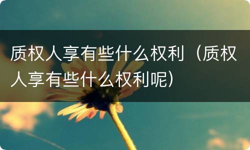 质权人享有些什么权利（质权人享有些什么权利呢）