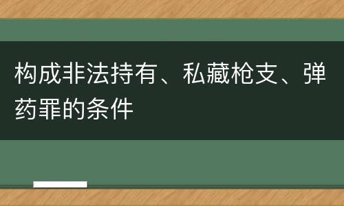 构成非法持有、私藏枪支、弹药罪的条件