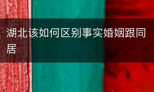 湖北该如何区别事实婚姻跟同居