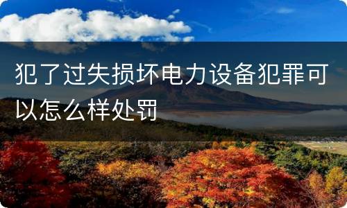 犯了过失损坏电力设备犯罪可以怎么样处罚