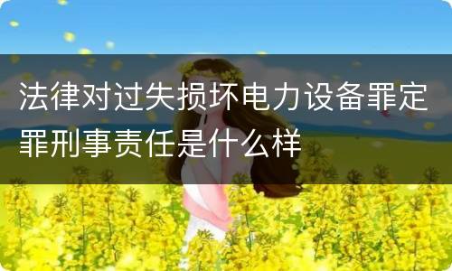 法律对过失损坏电力设备罪定罪刑事责任是什么样