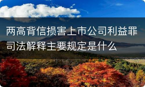 两高背信损害上市公司利益罪司法解释主要规定是什么