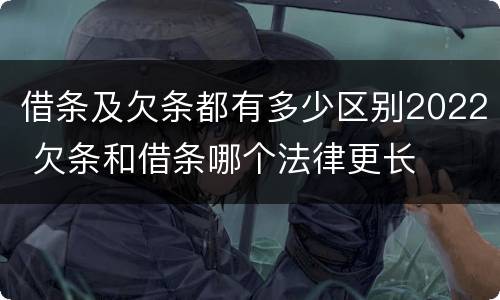 借条及欠条都有多少区别2022 欠条和借条哪个法律更长