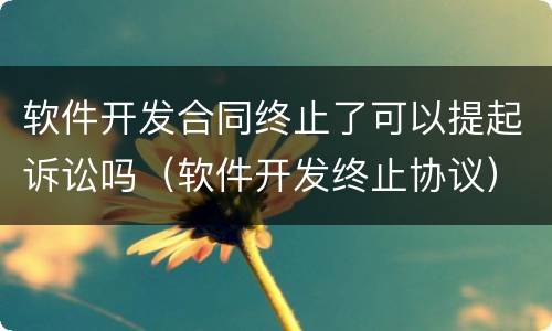 软件开发合同终止了可以提起诉讼吗（软件开发终止协议）
