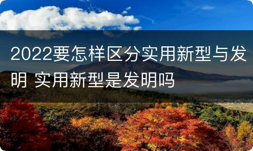 2022要怎样区分实用新型与发明 实用新型是发明吗