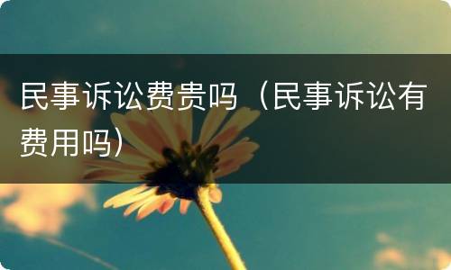 民事诉讼费贵吗（民事诉讼有费用吗）