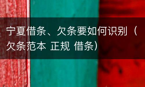 宁夏借条、欠条要如何识别（欠条范本 正规 借条）