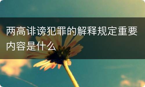 两高诽谤犯罪的解释规定重要内容是什么