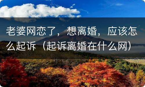 老婆网恋了，想离婚，应该怎么起诉（起诉离婚在什么网）