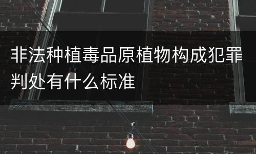 非法种植毒品原植物构成犯罪判处有什么标准