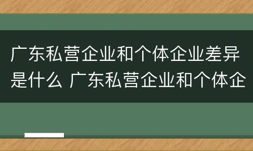 广东私营企业和个体企业差异是什么 广东私营企业和个体企业差异是什么样的