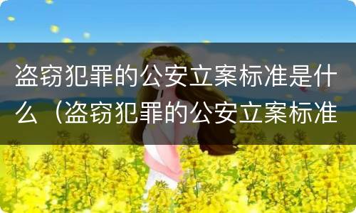盗窃犯罪的公安立案标准是什么（盗窃犯罪的公安立案标准是什么意思）