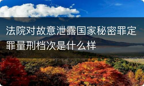 法院对故意泄露国家秘密罪定罪量刑档次是什么样
