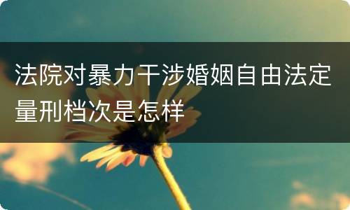 法院对暴力干涉婚姻自由法定量刑档次是怎样