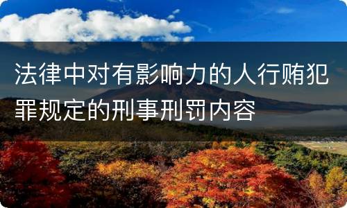 法律中对有影响力的人行贿犯罪规定的刑事刑罚内容