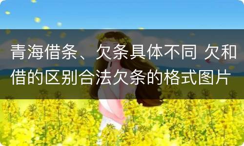 青海借条、欠条具体不同 欠和借的区别合法欠条的格式图片