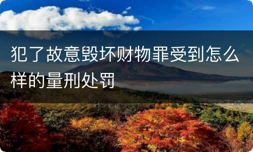 犯了故意毁坏财物罪受到怎么样的量刑处罚