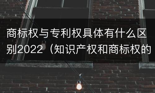 商标权与专利权具体有什么区别2022（知识产权和商标权的区别）