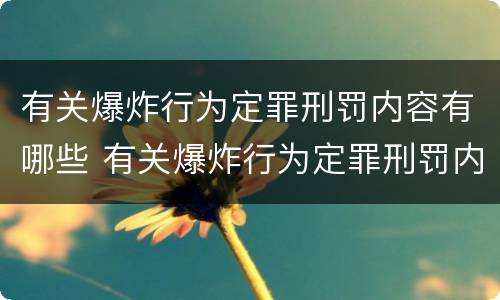 有关爆炸行为定罪刑罚内容有哪些 有关爆炸行为定罪刑罚内容有哪些标准