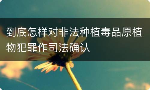 到底怎样对非法种植毒品原植物犯罪作司法确认