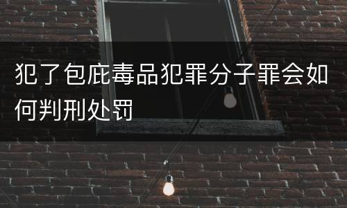 犯了包庇毒品犯罪分子罪会如何判刑处罚