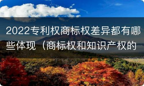 2022专利权商标权差异都有哪些体现（商标权和知识产权的区别）