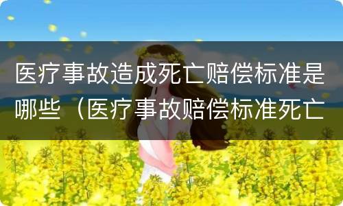 医疗事故造成死亡赔偿标准是哪些（医疗事故赔偿标准死亡赔偿金）