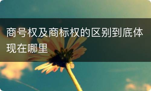 商号权及商标权的区别到底体现在哪里