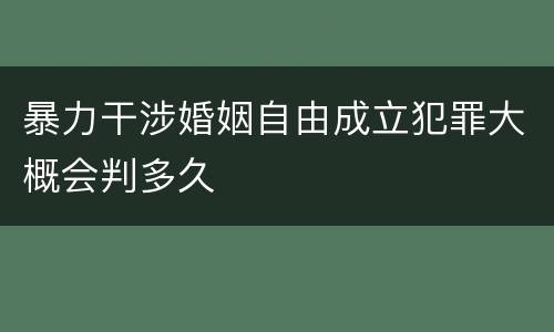 暴力干涉婚姻自由成立犯罪大概会判多久