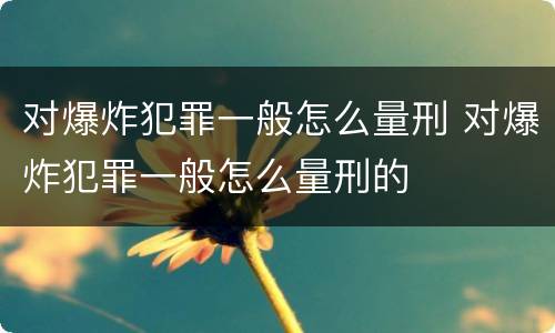 对爆炸犯罪一般怎么量刑 对爆炸犯罪一般怎么量刑的