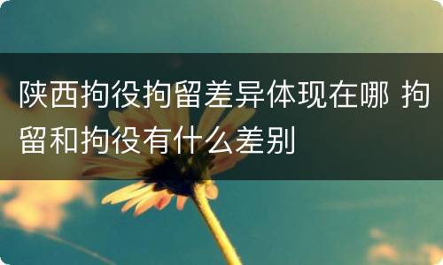 陕西拘役拘留差异体现在哪 拘留和拘役有什么差别