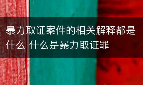 暴力取证案件的相关解释都是什么 什么是暴力取证罪