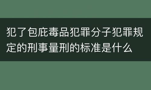犯了包庇毒品犯罪分子犯罪规定的刑事量刑的标准是什么