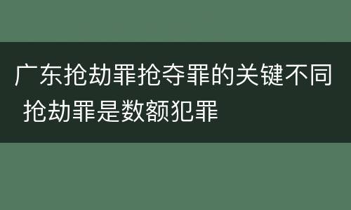 广东抢劫罪抢夺罪的关键不同 抢劫罪是数额犯罪