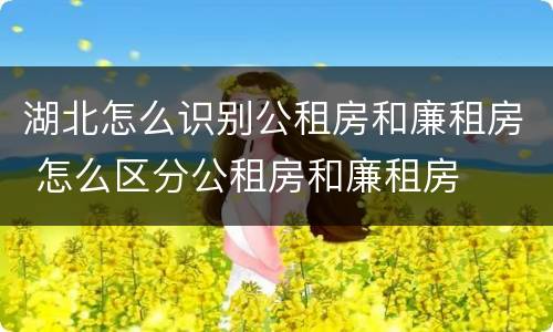 湖北怎么识别公租房和廉租房 怎么区分公租房和廉租房