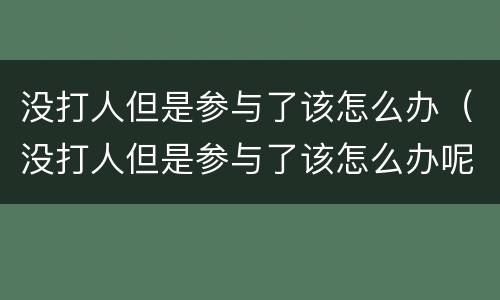 没打人但是参与了该怎么办（没打人但是参与了该怎么办呢）