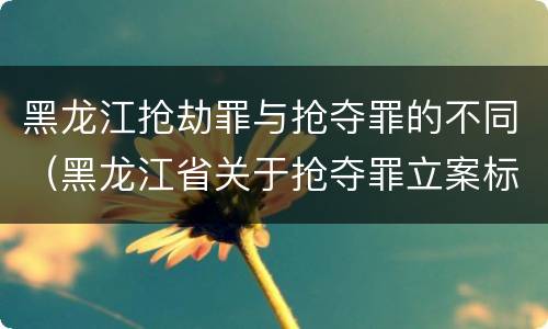 黑龙江抢劫罪与抢夺罪的不同（黑龙江省关于抢夺罪立案标准）