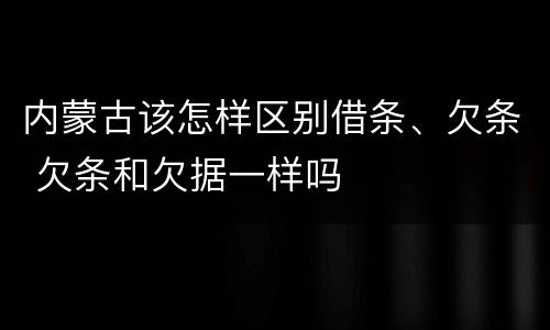 内蒙古该怎样区别借条、欠条 欠条和欠据一样吗