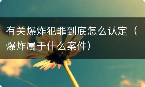 有关爆炸犯罪到底怎么认定（爆炸属于什么案件）
