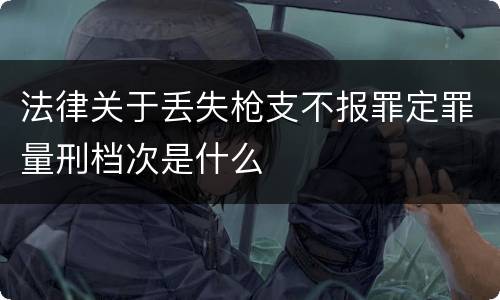 法律关于丢失枪支不报罪定罪量刑档次是什么
