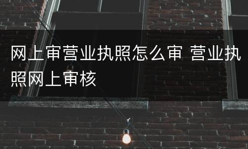 网上审营业执照怎么审 营业执照网上审核