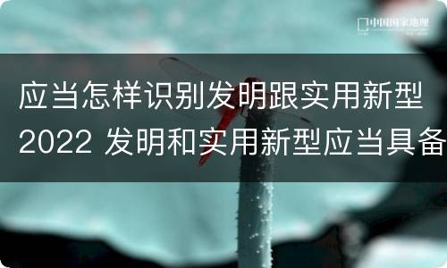 应当怎样识别发明跟实用新型2022 发明和实用新型应当具备