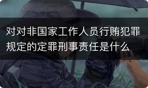 对对非国家工作人员行贿犯罪规定的定罪刑事责任是什么