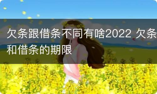 欠条跟借条不同有啥2022 欠条和借条的期限
