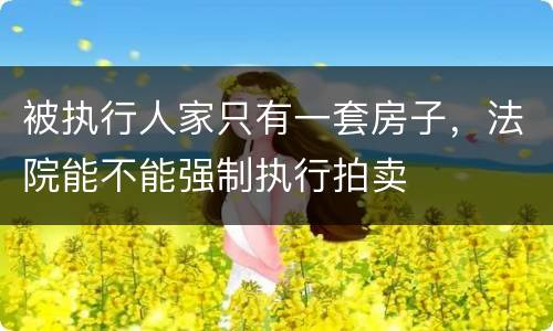 被执行人家只有一套房子，法院能不能强制执行拍卖