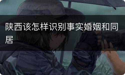 陕西该怎样识别事实婚姻和同居