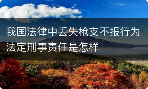 我国法律中丢失枪支不报行为法定刑事责任是怎样